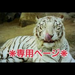 かとゆか様専用ページのサムネイル