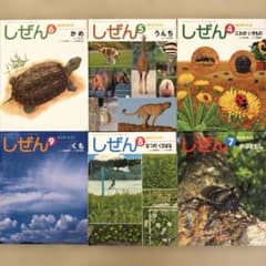 しぜんキンダーブック シリーズ 4月~9月⟡.*まとめ売り⟡.*のサムネイル
