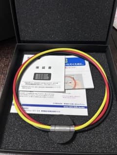 井上尚弥チャンピオン、SnowMan岩本照さん愛用ネックレス、SEV