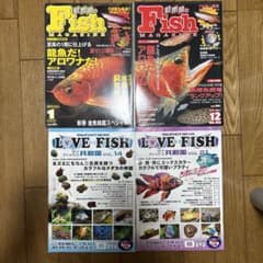 【4冊セット】フィッシュマガジン　アロワナ、水草、金魚2004年1月のサムネイル