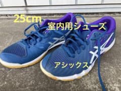 ASICS 屋内用スポーツシューズ ノンマーキングソール　サイズ25cmのサムネイル