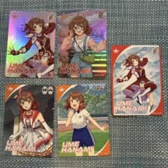【匿名配送】花海佑芽 カードフォリオ 5枚セット