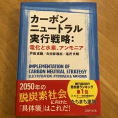 カーボンニュートラル実行戦略:電化と水素、アンモニアのサムネイル