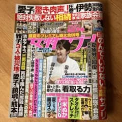 女性セブン 8/20・27合併号のサムネイル