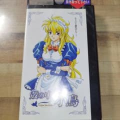 m31373994033_1.jpg?1727180495