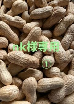 『nk様専用①』千葉県産　農薬不使用　おおまさり2キロのサムネイル
