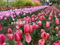 y.k様専用スニーカーのサムネイル