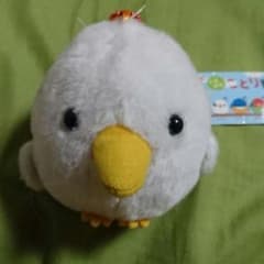 【ことり隊】カモメのサムネイル