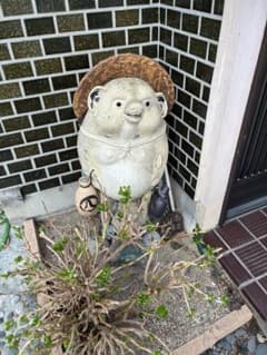 赤*豚様 狸の置物 縁起物 ガーデンオーナメント ＊尾張旭市まで取りに来られる方のサムネイル