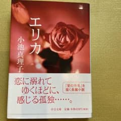 エリカ　　小池真理子のサムネイル
