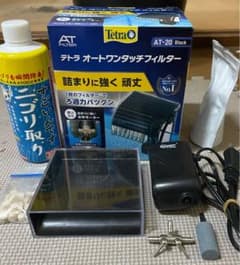メダカ引退！売り切り！！のサムネイル