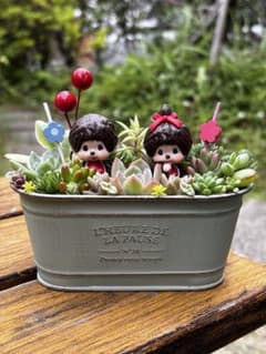 メルカリ便♫多肉植物寄せ植え♫そのまま飾れる♫3匹のこぶたちゃん 多肉植物＊寄せ植え＊そのまま飾れる♡♡ - メルカリ