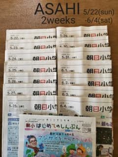 朝日小学生新聞　2週間　14部　2022年5月22日(日)～6月4日(土)のサムネイル
