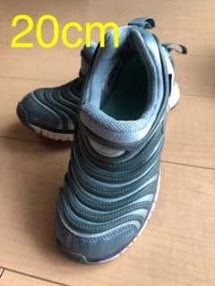 NIKE ナイキ ダイナモフリーのサムネイル