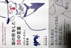 エリック・サティ 梨の形をした30の言葉 ISBN978-4-86255-925のサムネイル