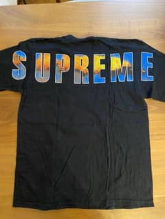 シュプリーム  supreme crash tee Lサイズのサムネイル