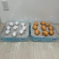 海畑ちんあなご　Ocean Friends ぬいぐるみ 2点セットのサムネイル
