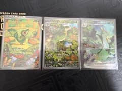 ツタージャAR ジャノビーAR ジャローダSAR ブラックボルト 3枚セット