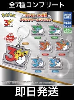 포켓몬 30주년 메탈 매력 전 7종 컴플리트