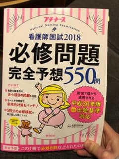 売り切れ続出！プチナース必修予想問題のサムネイル