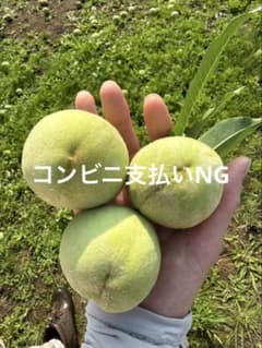 山梨県　摘果桃　特大、大ミックス　10キロのサムネイル
