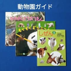ビッグサイエンス キンダーブックしぜん なかよしどうぶつえん