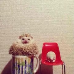 ゆずか様専用のサムネイル
