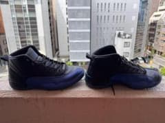 ただの靴好き様専用 AIR JORDAN 12/ 29㎝ - メルカリ