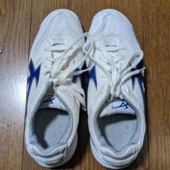 高校の体育館シューズです。のサムネイル