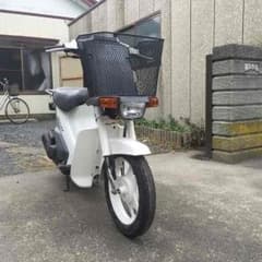 スズキ モレのサムネイル