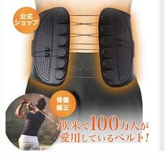ガードナーベルト 骨盤矯正のサムネイル