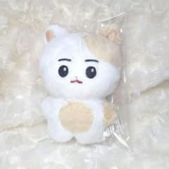 ENHYPEN ヒスン ぬいぐるみ 10cm マスター 엔니멀즈 - メルカリ