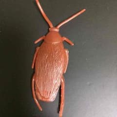 ゴキブリのおもちゃのサムネイル