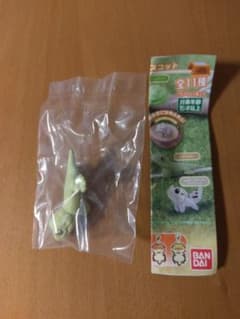 はちゅこっと3　にほんやもりのサムネイル