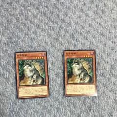 遊戯王カードのサムネイル