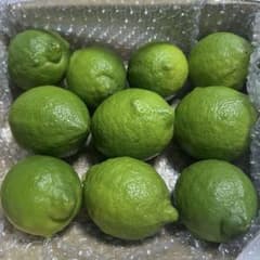 檸檬✨グリーンレモンA品箱込み約:1.2kg 柑橘ベルガモット「葉っぱ」おまけ付のサムネイル
