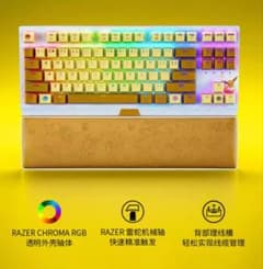 Razer Blackwidow V3【イーブイVer】新品レスト付