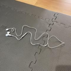 Apple純正イヤホンのサムネイル