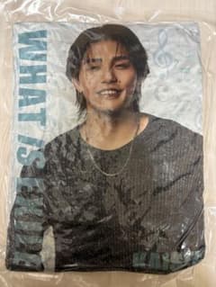 WHAT IS EXILE THE RAMPAGE 武知海青 クッション WHAT IS EXILE THE RAMPAGE 武知海青 クッション - メルカリ