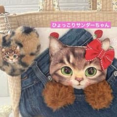 ゆ*ん様 リトルサンダーちゃん　ヌビ＆苺＆デニムリメイク　コヤンイサムチョン　ト ゆ*ん様 リトルサンダーちゃん ヌビ＆苺＆デニムリメイク コヤンイサム