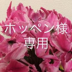 ホッペン様専用 レスポートサック ショルダーバッグのサムネイル