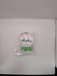 치이카와 선취
