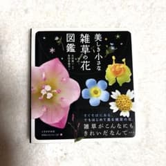 美しき小さな雑草の花図鑑 山と溪谷社のサムネイル