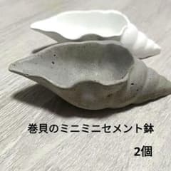 巻貝のミニミニセメント鉢 2個 セメント＆ホワイトセメント 多肉植物等