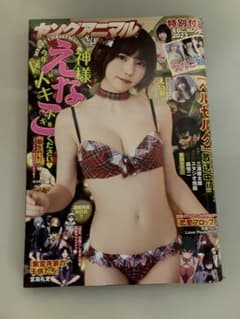 ヤングアニマル2022年24号