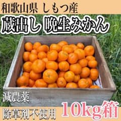 減農薬 蔵出し晩生みかん【10kg箱】和歌山県産のサムネイル