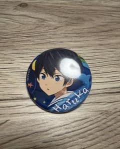 Free! IWATOBI KIDS 缶バッジ 七瀬遙