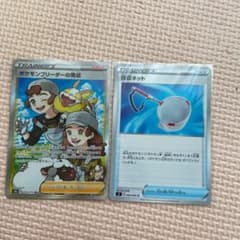 回収ネット ポケモンブリーダーの育成 SRのサムネイル