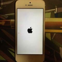 iPhone5のサムネイル