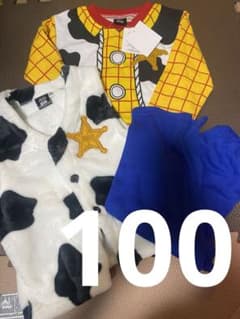 우디 100
